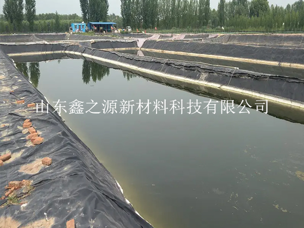 合理有效貯存HDPE土工膜：策略與實(shí)踐的簡(jiǎn)約新視角