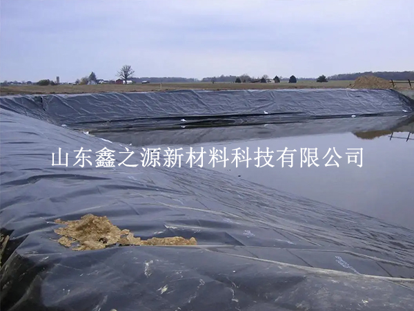 養(yǎng)殖防滲膜施工固定新法：簡約高效，守護生態(tài)養(yǎng)殖