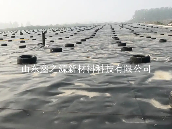 蓄水池防滲膜裁剪別亂剪，這些技巧更省心